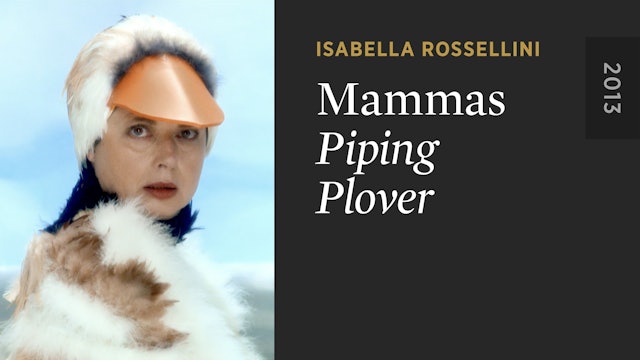 MAMMAS: Piping Plover