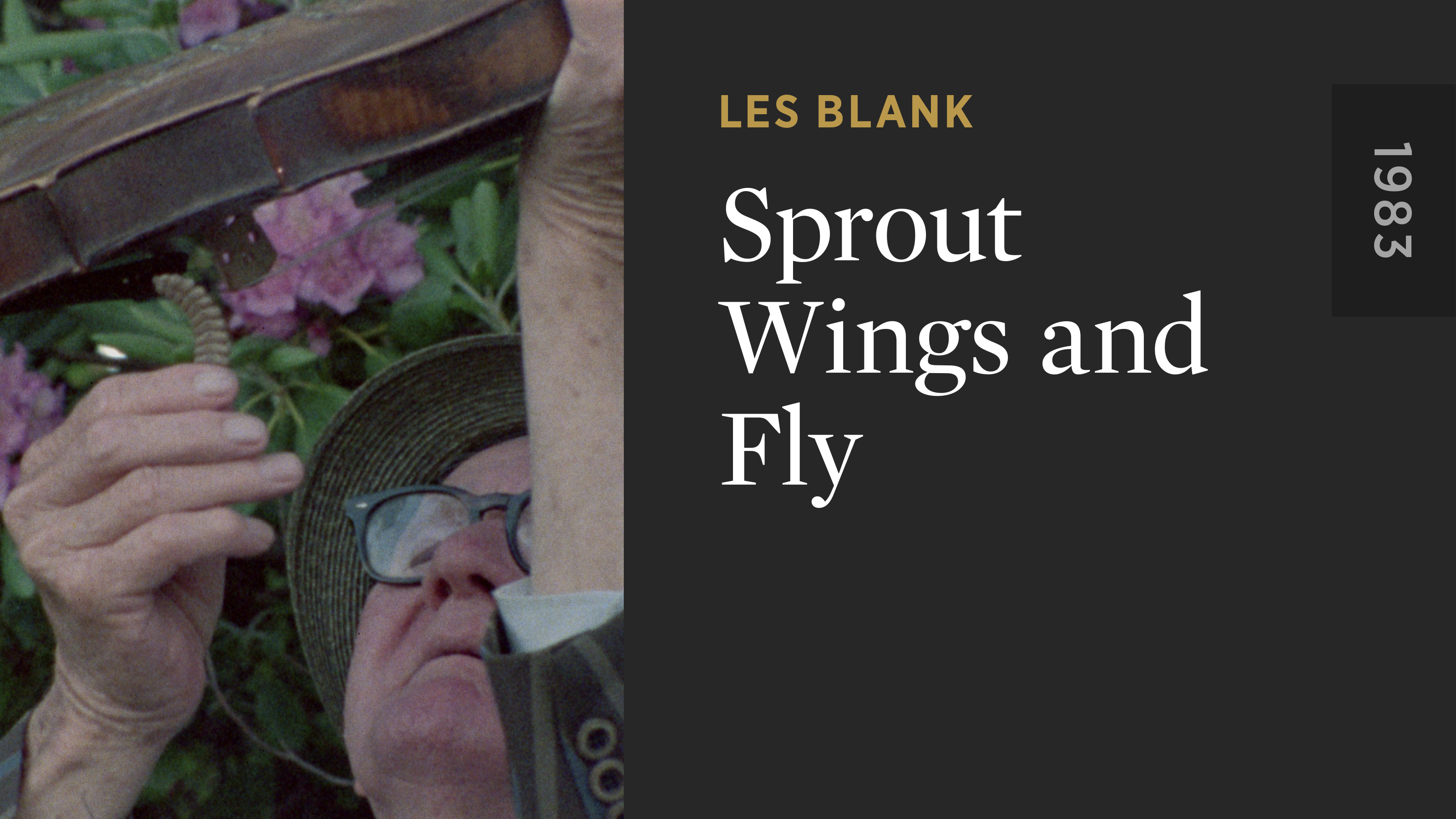 Sprout Wings and Fly