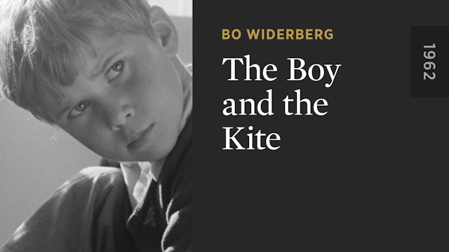 The Boy and the Kite