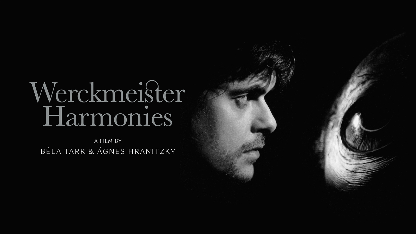 Werckmeister Harmonies