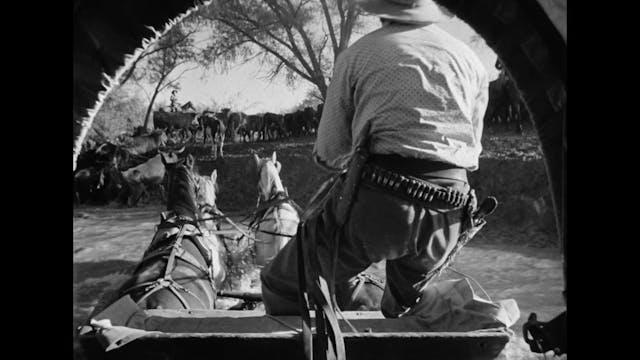 David Thomson on ONLY ANGELS HAVE WINGS