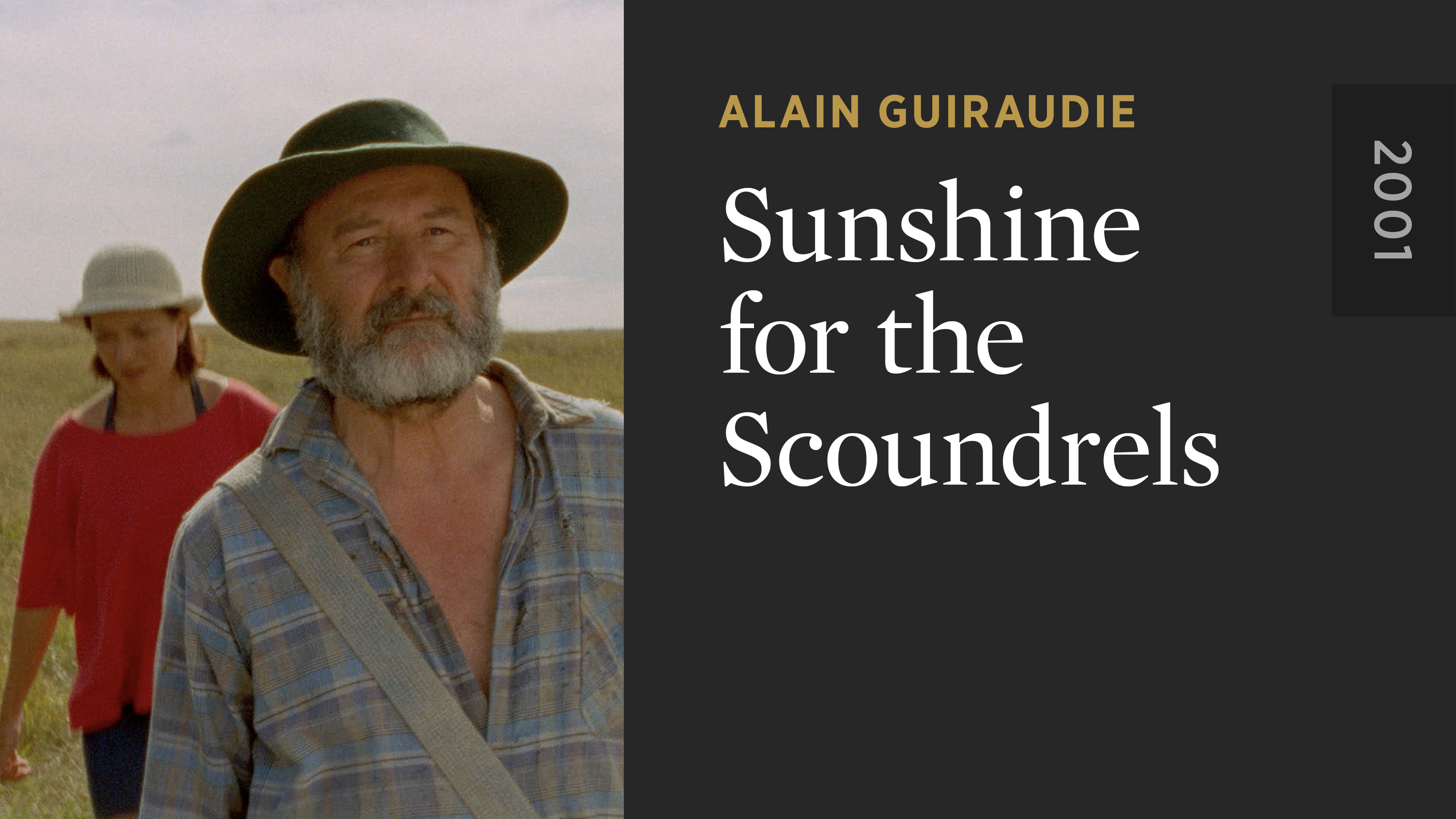 Sunshine for the Scoundrels