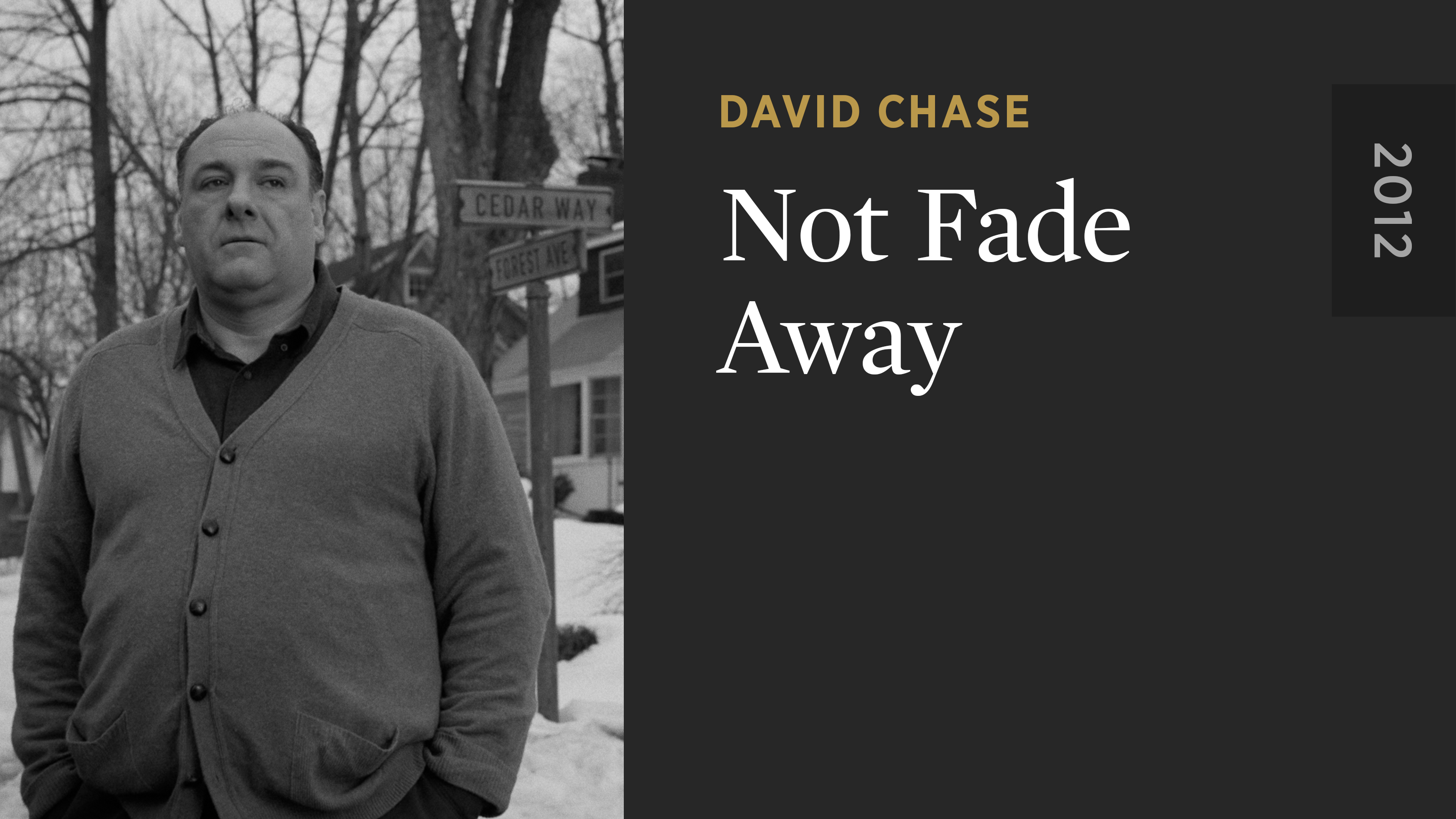 Not Fade Away