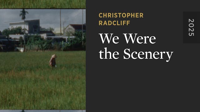We Were the Scenery