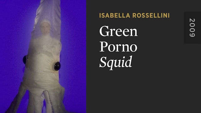 GREEN PORNO: Squid