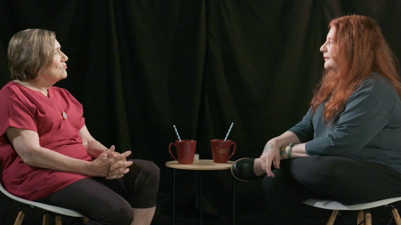 Martha Coolidge and Allison Anders on NOT A PRETTY PICTURE