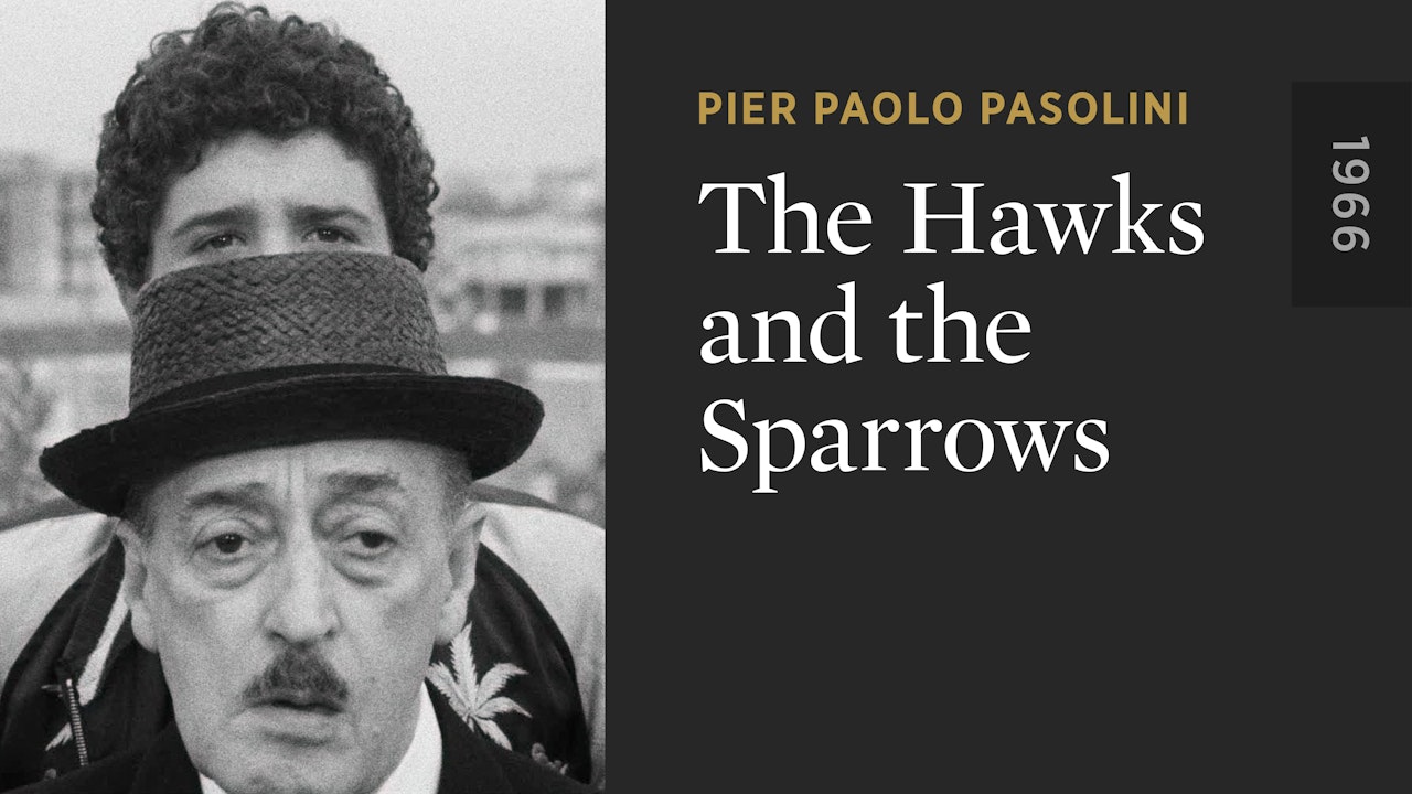 The Hawks and the Sparrows