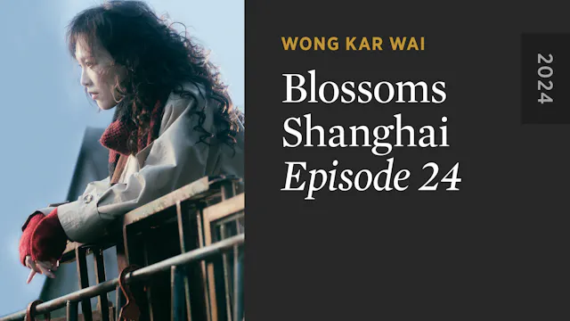 BLOSSOMS SHANGHAI Episode 24 Teaser