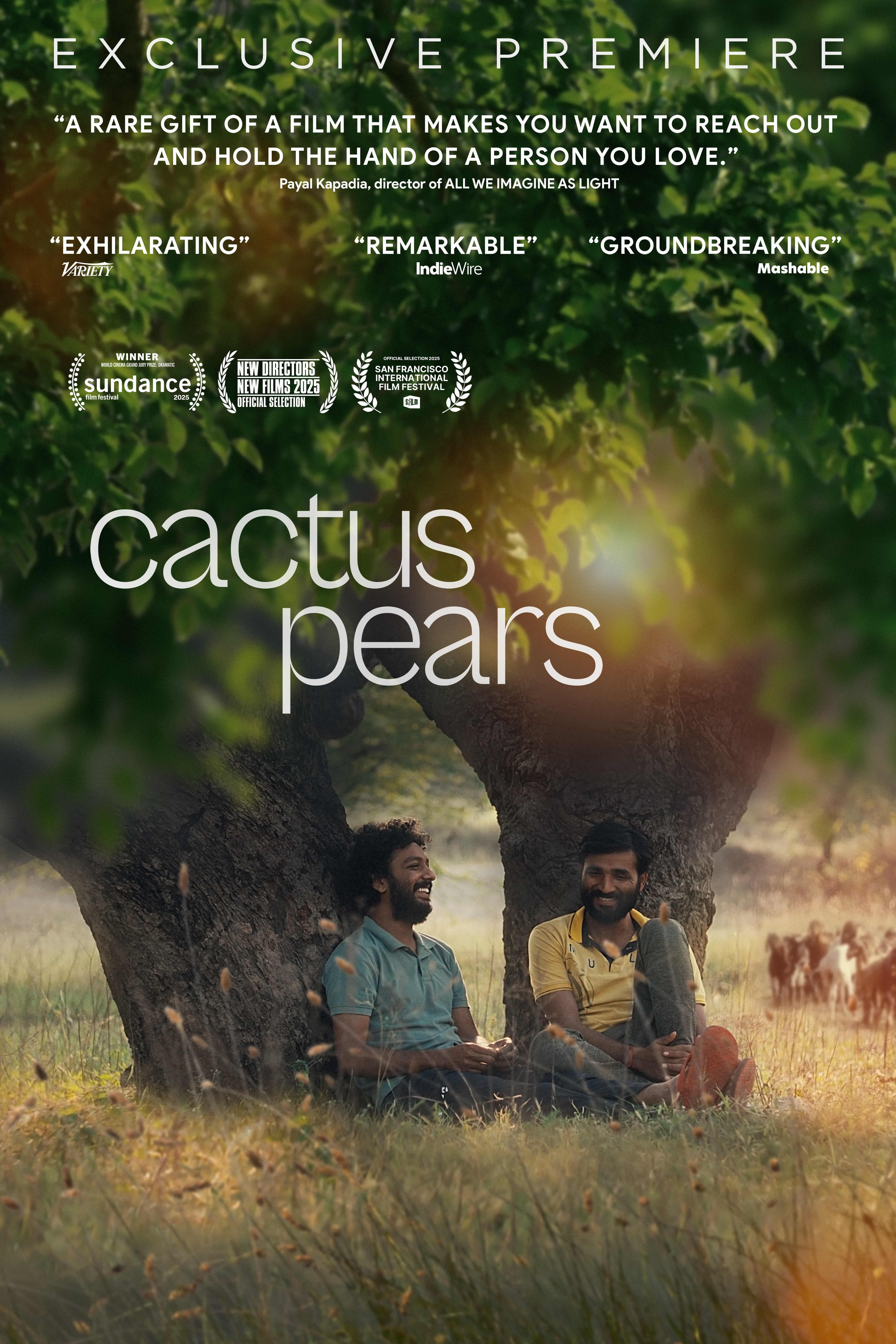 Cactus Pears