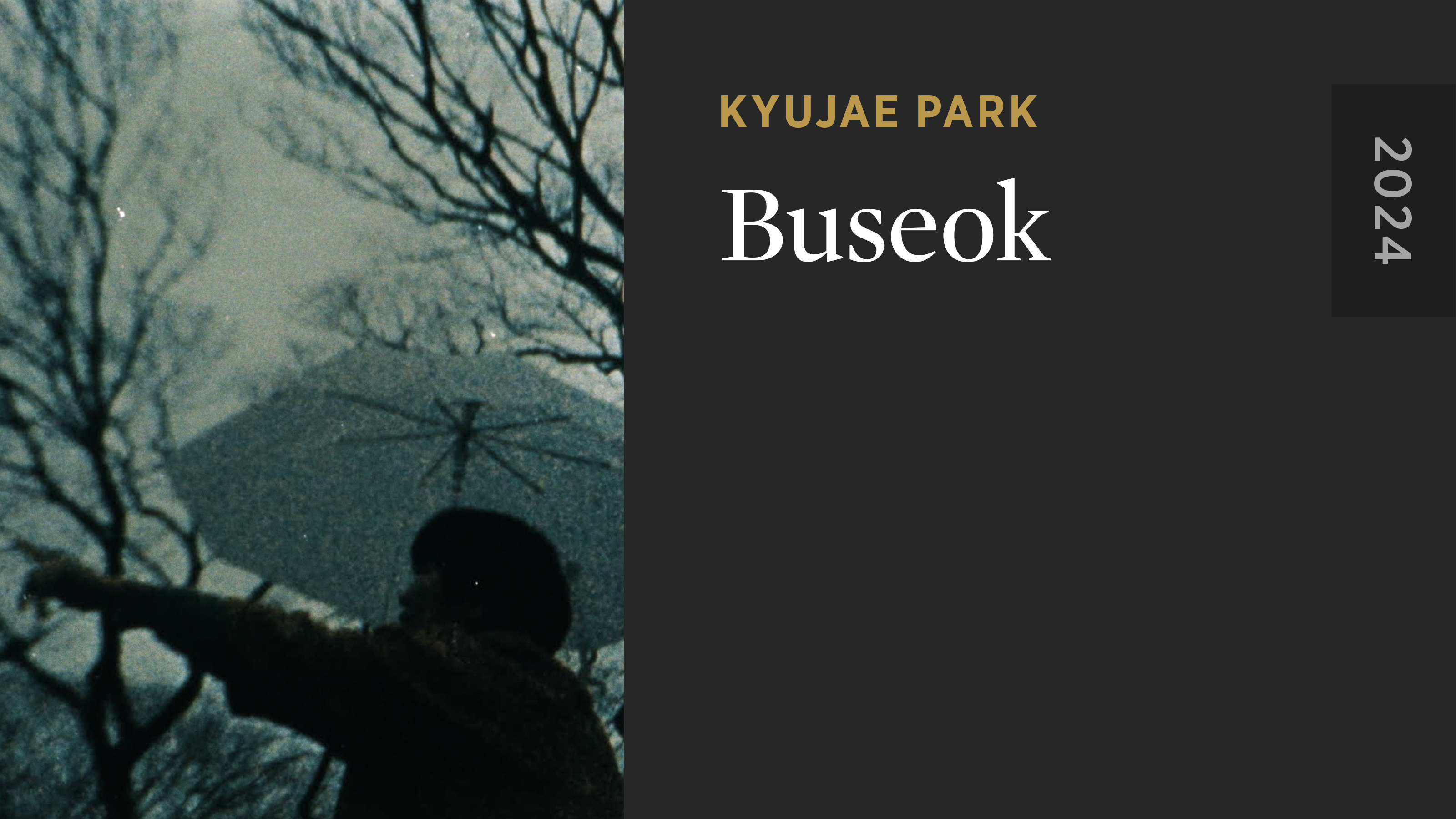 Buseok