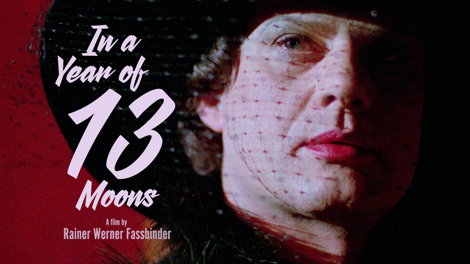 In a Year of 13 Moons