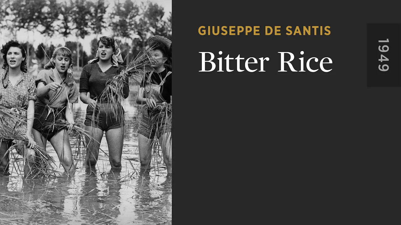 Bitter Rice Rice Field Bitter Rice - The Criterion Channel