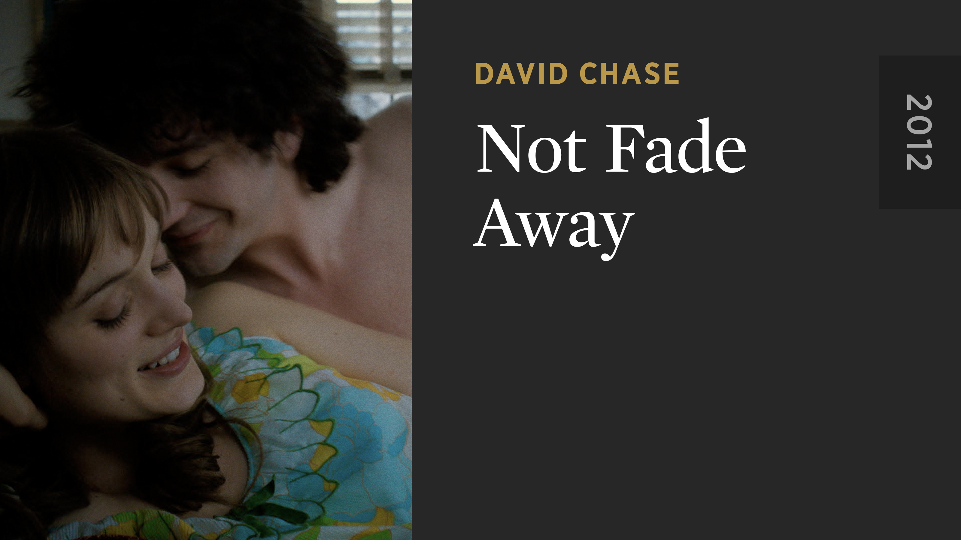Not Fade Away
