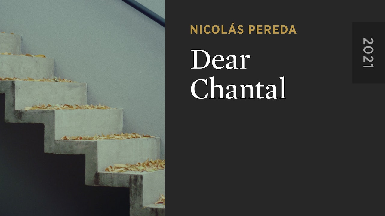 Dear Chantal