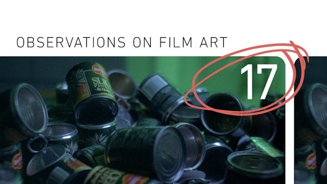 Observations on film art : Independent American film