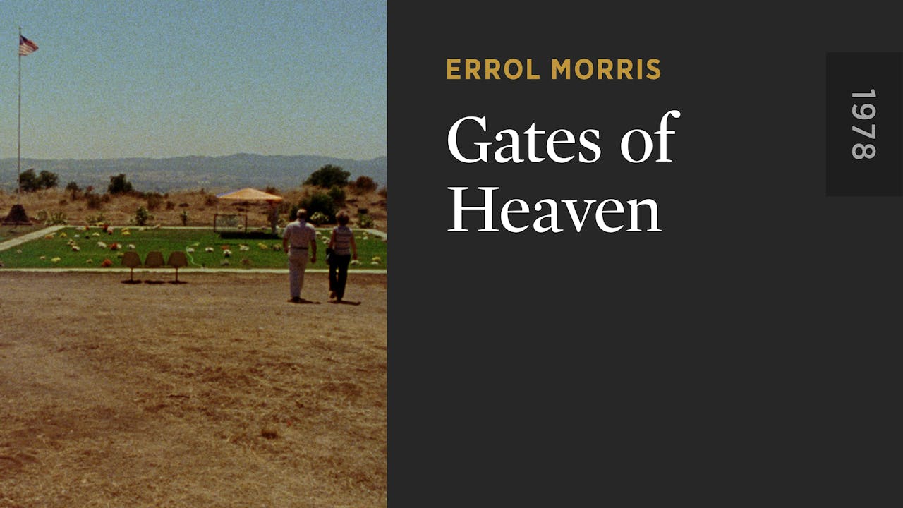 Gates of Heaven The Criterion Channel