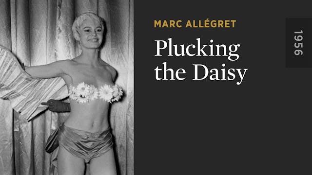 Plucking the Daisy