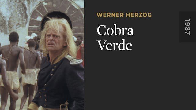 Cobra Verde