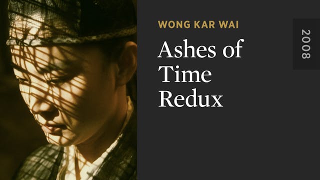 Ashes of Time Redux