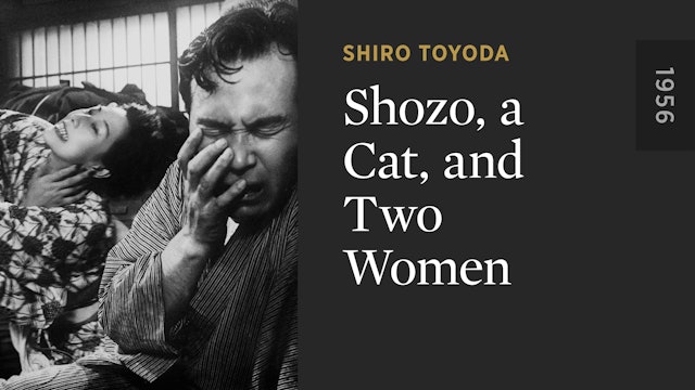 Shozo, a Cat, and Two Women