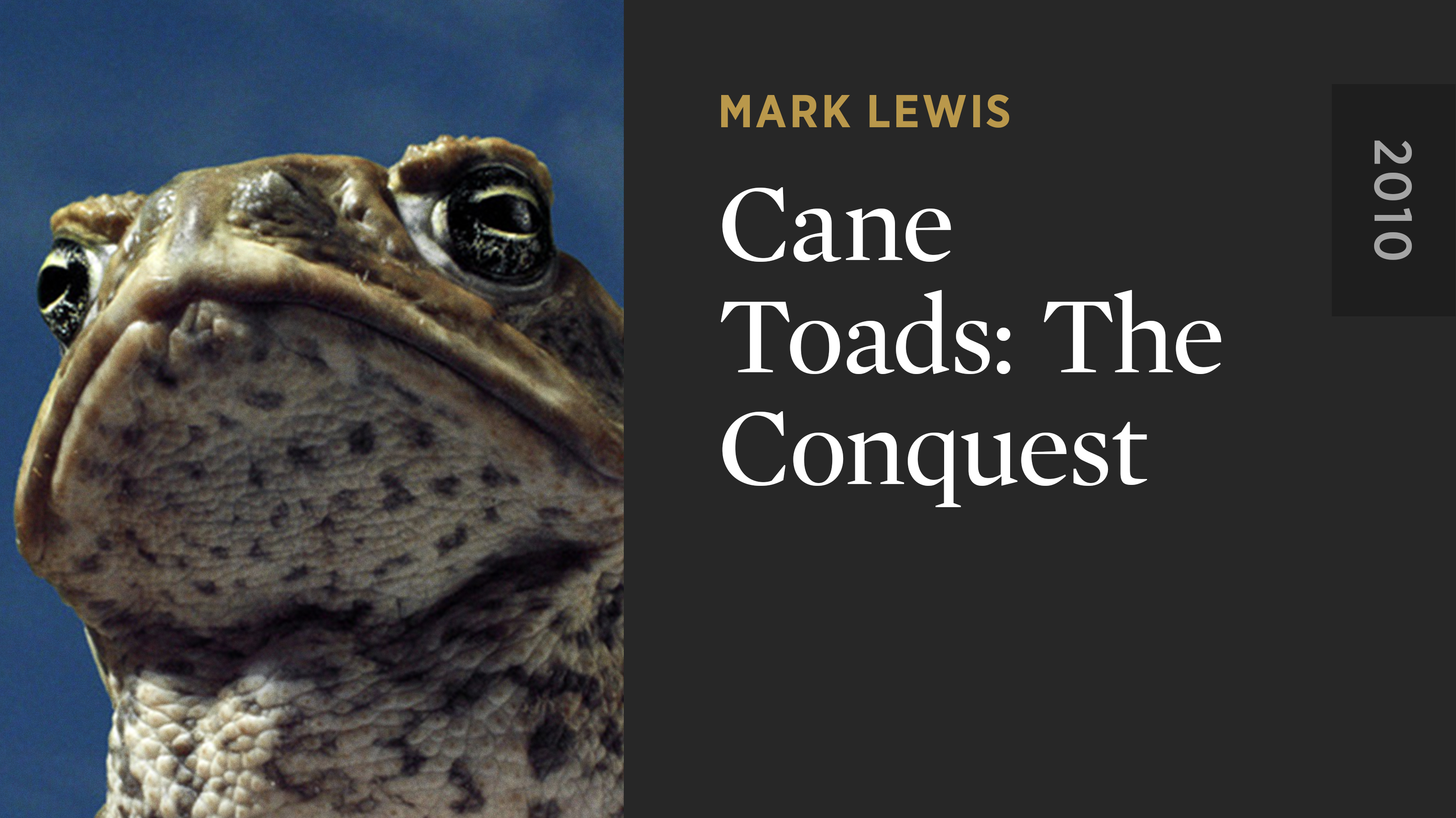 Cane Toads: The Conquest