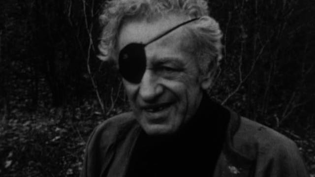 I’m a Stranger Here Myself