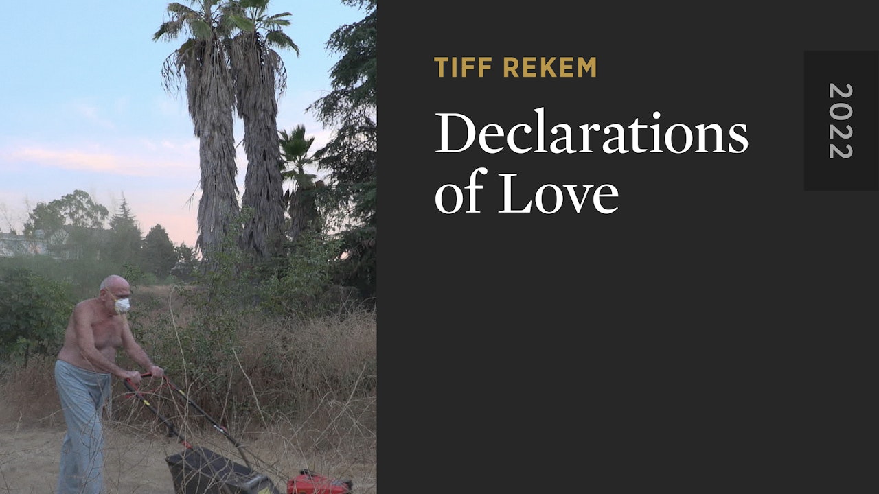 Declarations of Love