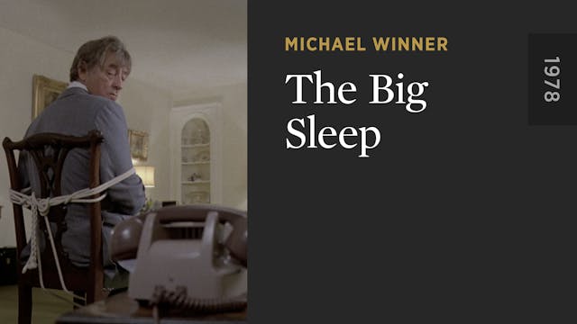 The Big Sleep