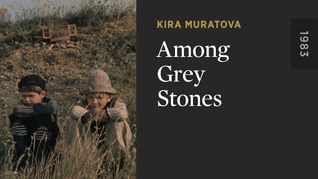 Among Grey Stones