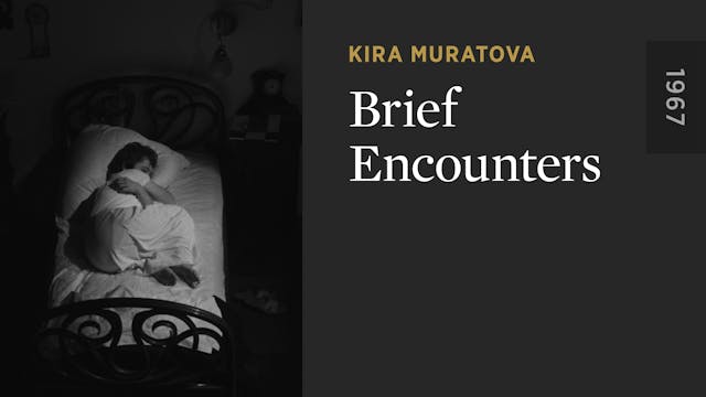 Brief Encounters