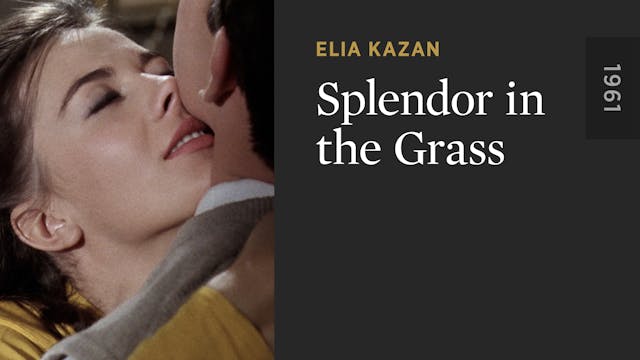 Splendor in the Grass