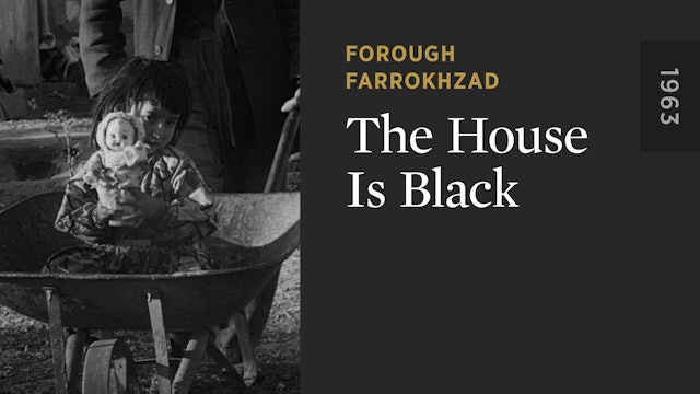 The House Is Black