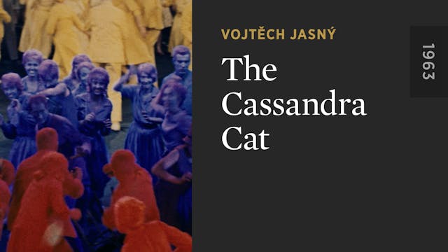 The Cassandra Cat