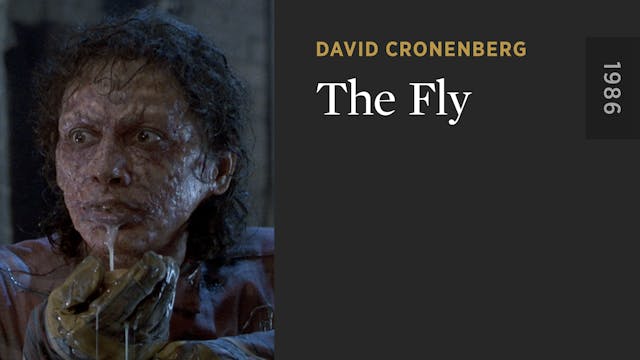 The Fly