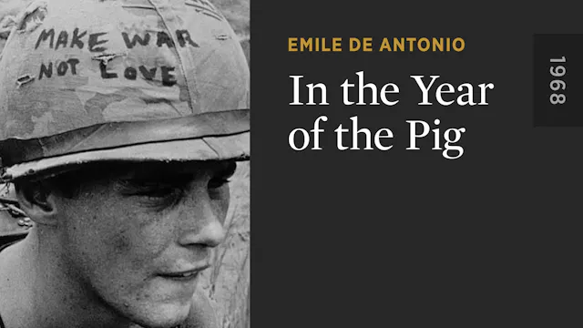 In the Year of the Pig