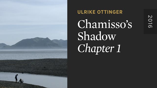 Chamisso’s Shadow: CHAPTER 1
