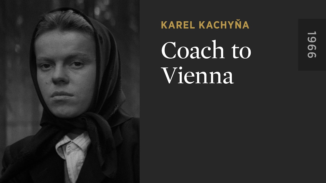 Coach to Vienna