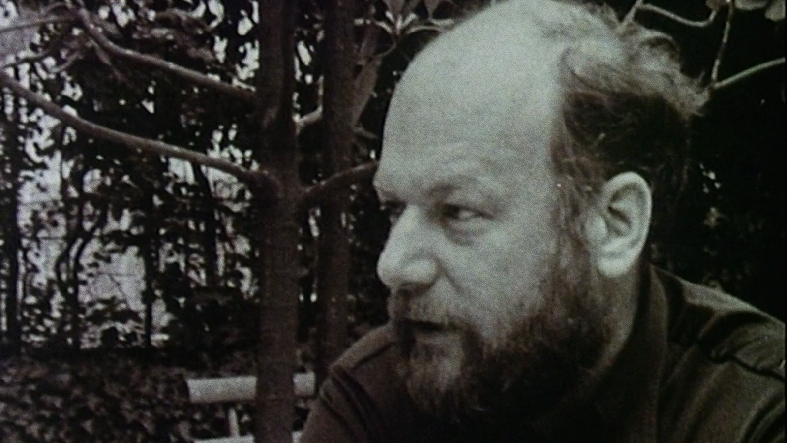 Dušan Makavejev on Danish Television