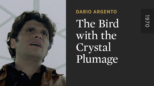 The Bird with the Crystal Plumage