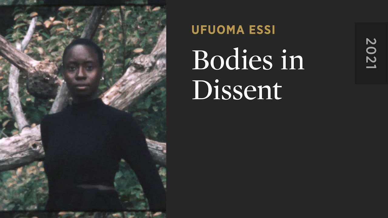 Bodies in Dissent