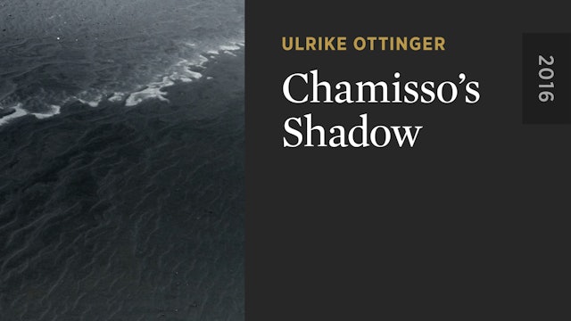 Chamisso’s Shadow
