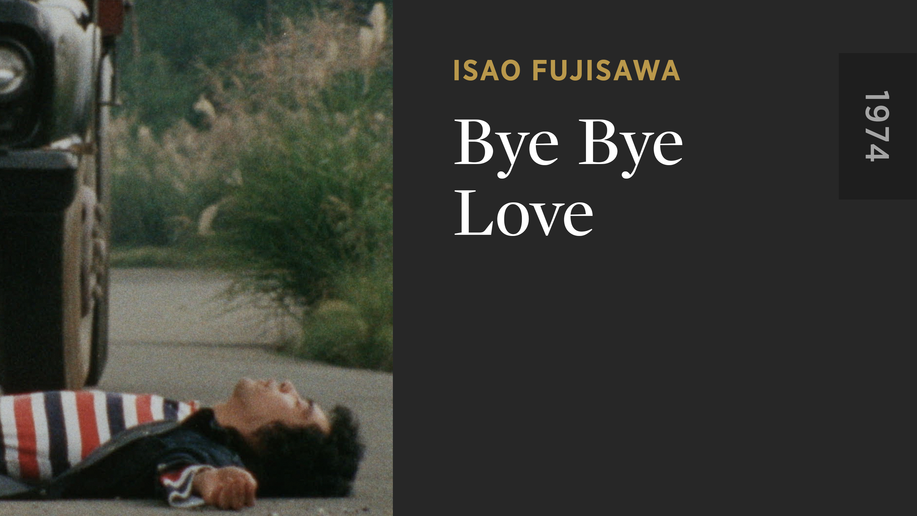Bye Bye Love