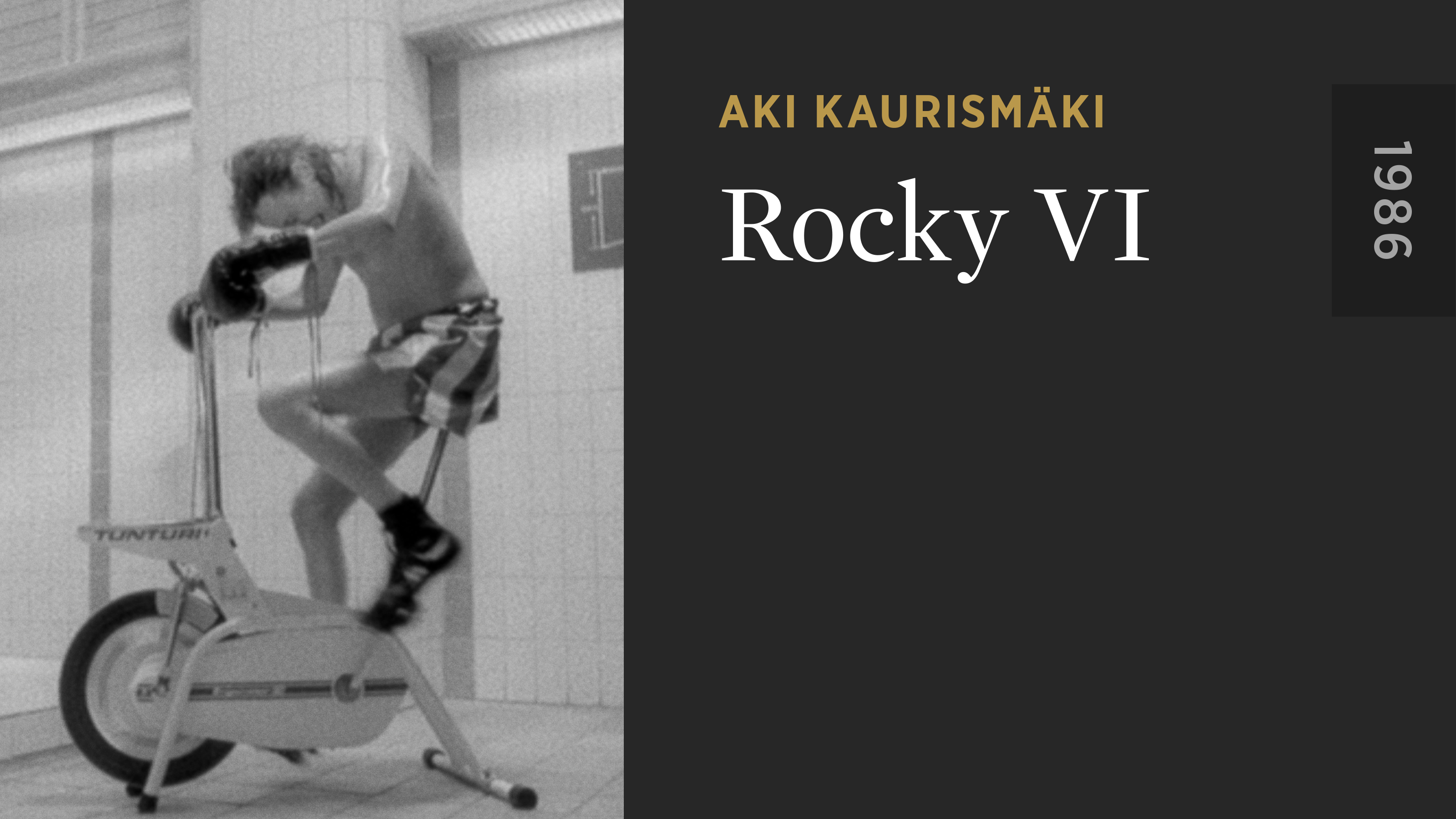 Rocky VI