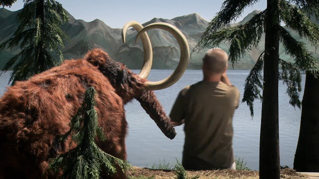 Film Adventurer Karel Zeman Trailer O...