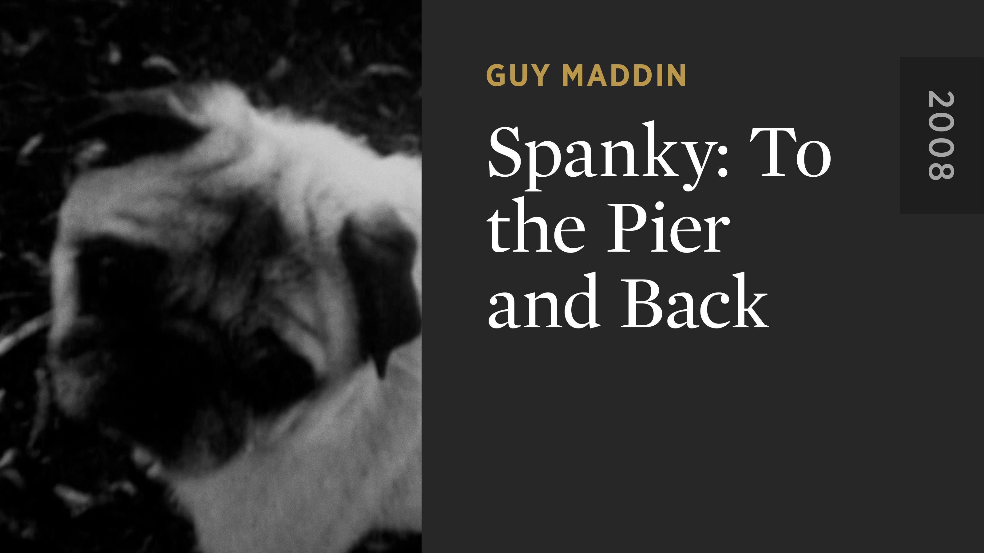 Spanky: To the Pier and Back