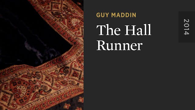 The Hall Runner OTTID:552398