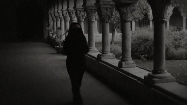HEART OF A DOG Deleted Scene: “On the...