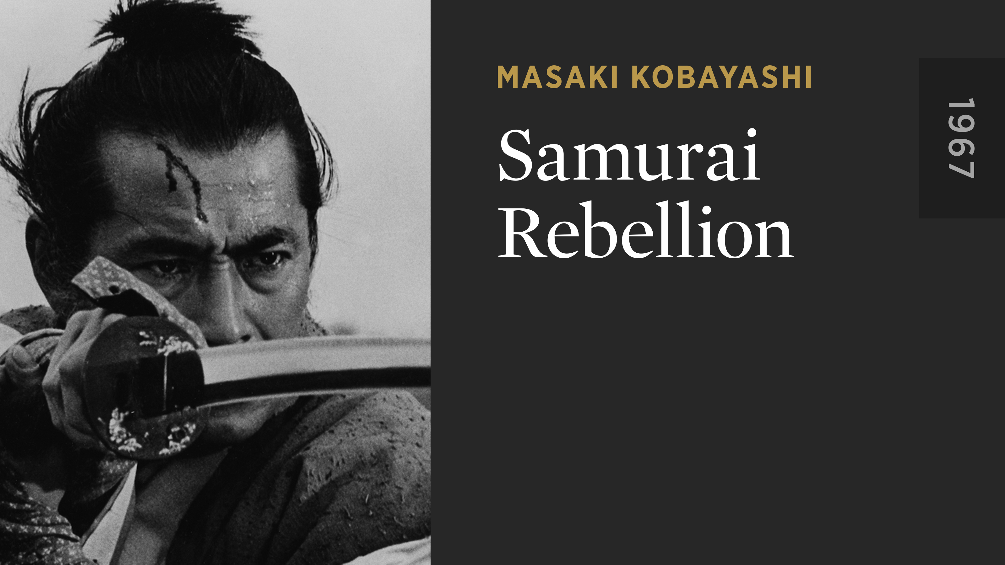 Samurai Rebellion