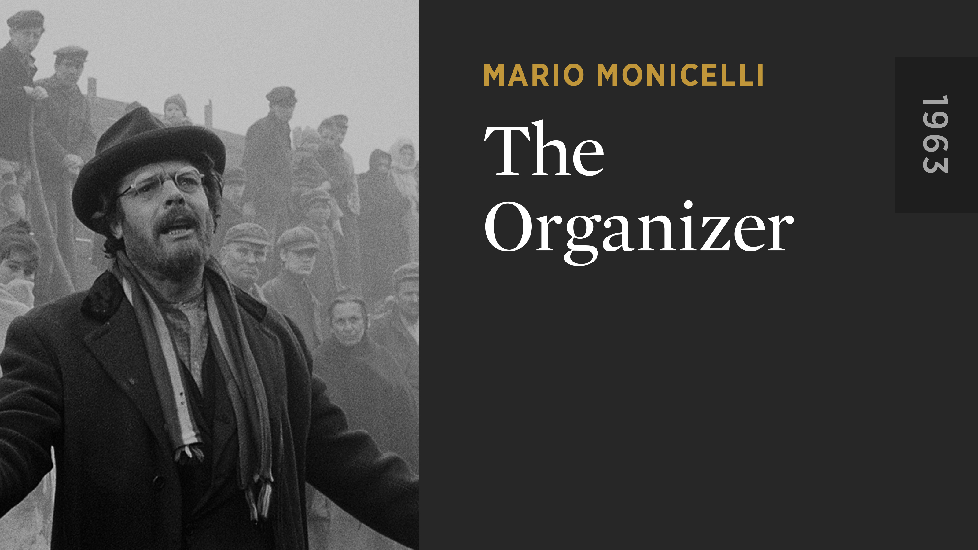 The Organizer