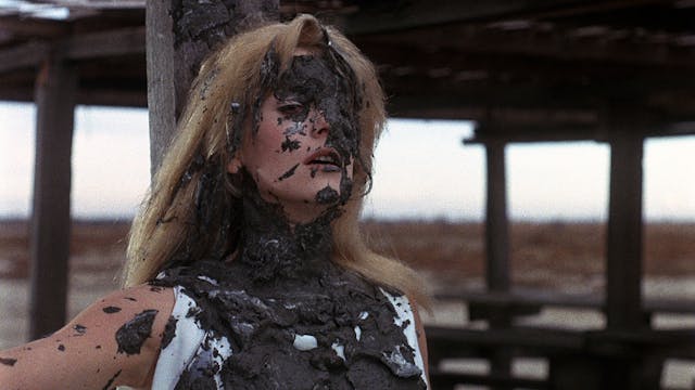 BELLE DE JOUR Commentary OTTID:463434